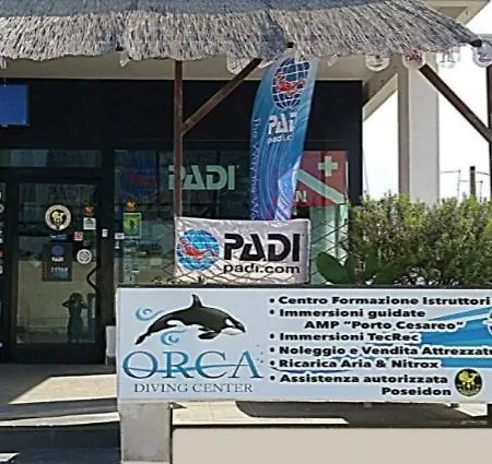 La Conchiglia Holiday home